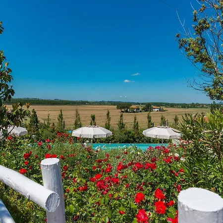 Wonderful House In Tuscany Near Pisa And Florence *
